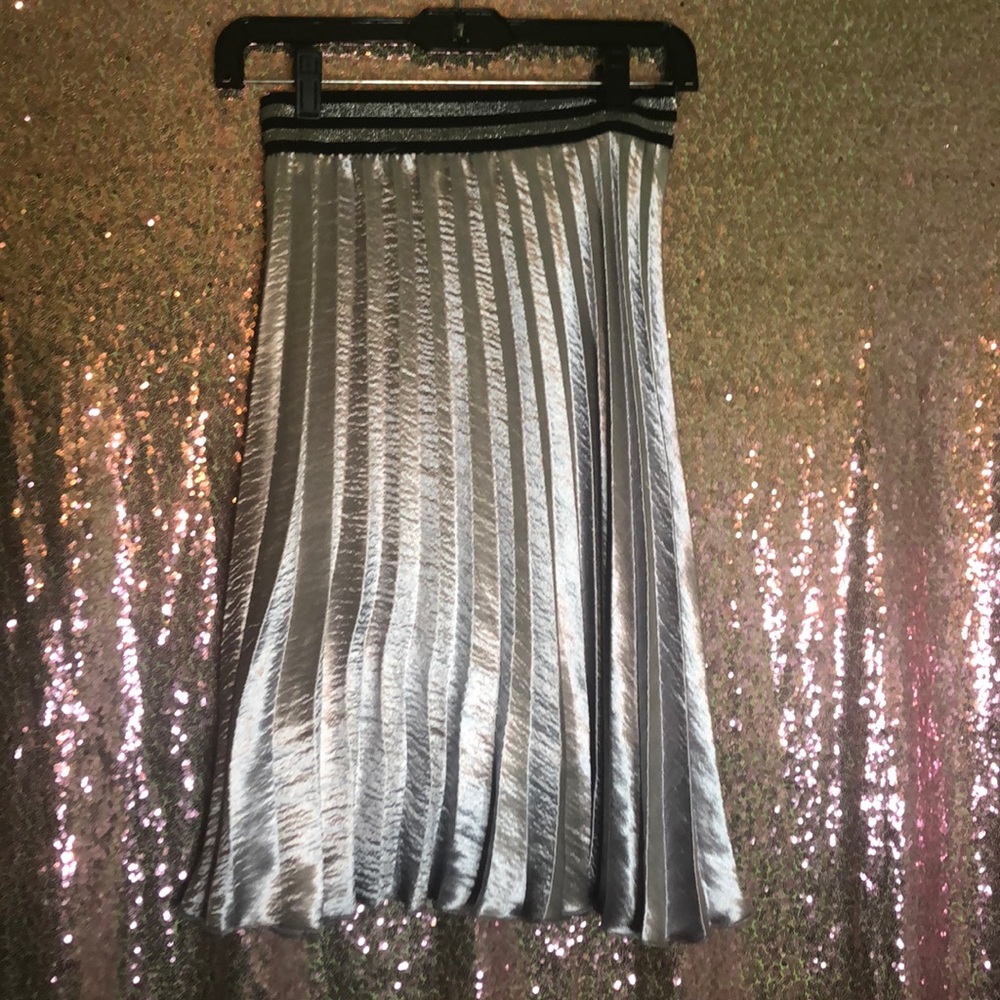 Silver Skater Skirt